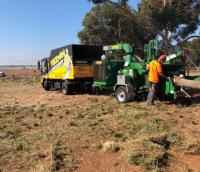 Tree Removal Melbourne - Treeman Melbourne image 1